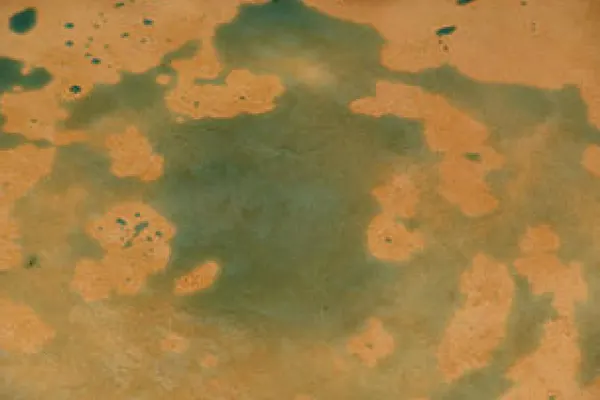 Untreated travertine absorbing blue dye